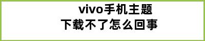 vivo手机主题下载不了怎么回事