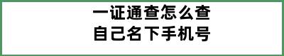 一证通查怎么查自己名下手机号