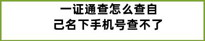 一证通查怎么查自己名下手机号查不了