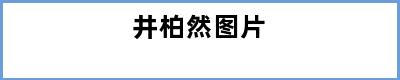 井柏然图片