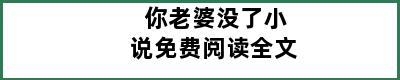 你老婆没了小说免费阅读全文