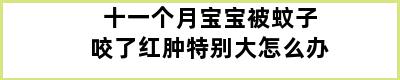 十一个月宝宝被蚊子咬了红肿特别大怎么办