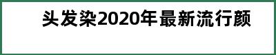 头发染2020年最新流行颜