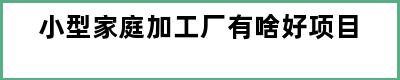 小型家庭加工厂有啥好项目