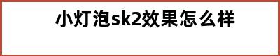 小灯泡sk2效果怎么样