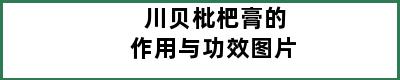 川贝枇杷膏的作用与功效图片