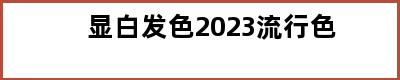 显白发色2023流行色