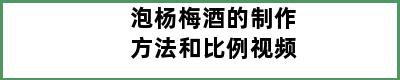 泡杨梅酒的制作方法和比例视频