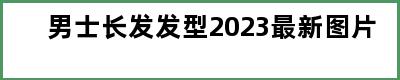 男士长发发型2023最新图片