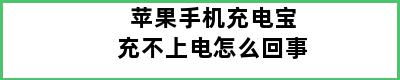 苹果手机充电宝充不上电怎么回事