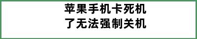 苹果手机卡死机了无法强制关机