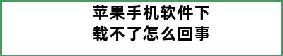 苹果手机软件下载不了怎么回事