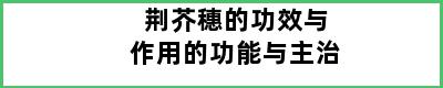 荆芥穗的功效与作用的功能与主治