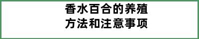 香水百合的养殖方法和注意事项