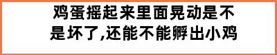 鸡蛋摇起来里面晃动是不是坏了,还能不能孵出小鸡